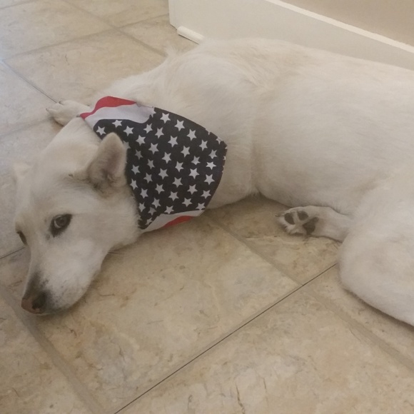 Meet your Posher, Tiffany - Picture 6 of 6